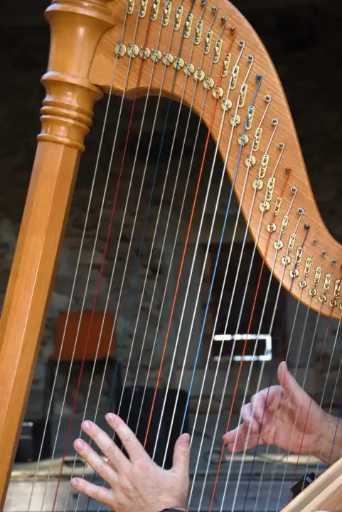Musician plucks and plays harp from wood with string instrument - close-up