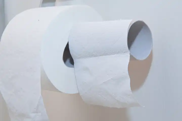 Toilettenpapierhalter mit Klopapierrolle zur Hygiene im Sanitärbereich - Nahaufnahme