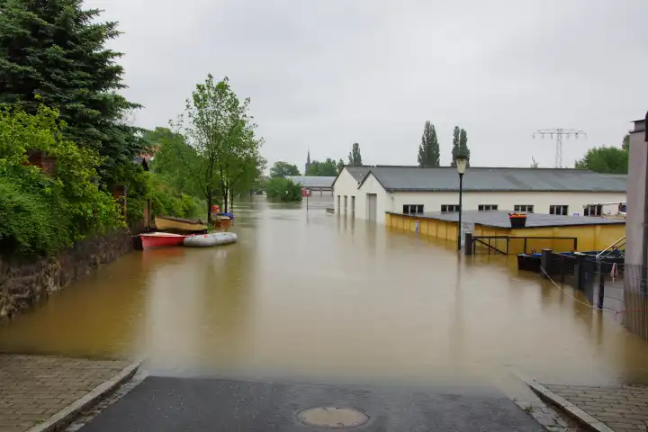 Elbehochwasser in Radebeul Juni 2013 quot An der Festwiese quot
