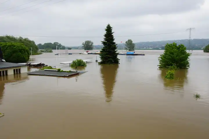 Elbe flood in June 2013 in Radebeul, flooded land