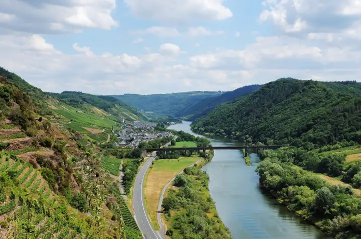 Calmont at the Moselle River