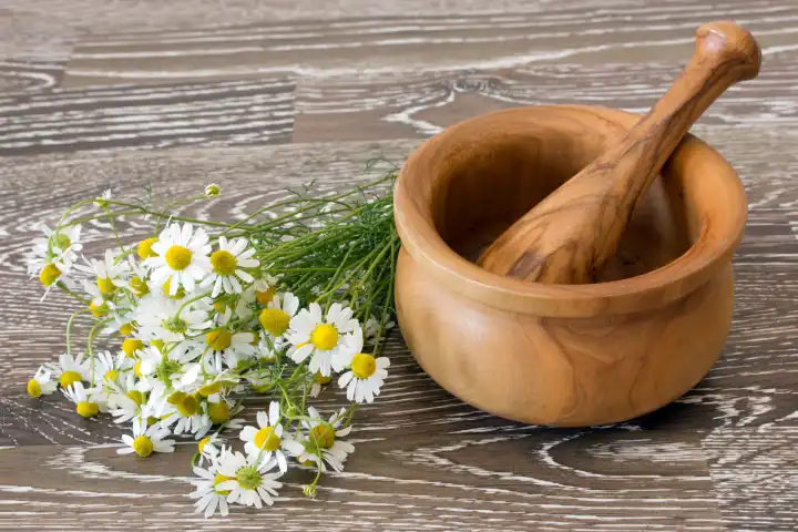 Fresh picked chamomile with mortar and pestle on wooden background