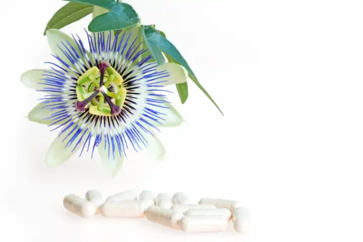 passion flower with capsules over white background