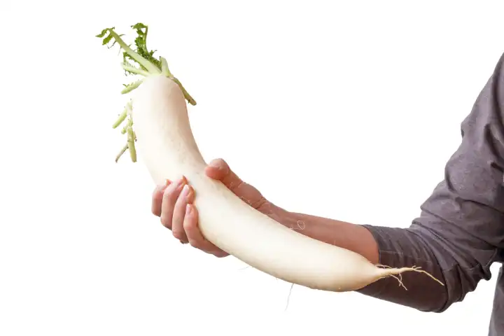 hand holding white radish