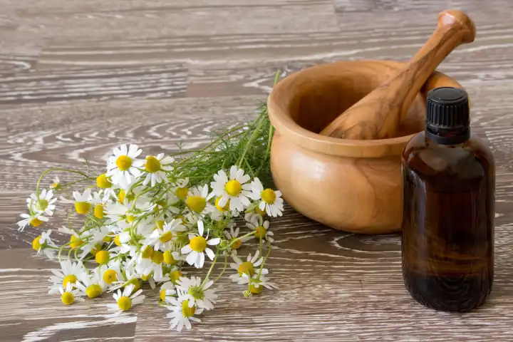 fresh chamomile with brown bottle and mortar and pestle