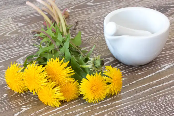 bunch of hawkbit with mortar and pestle