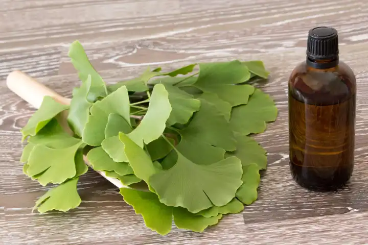 fresh ginkgo leaves on a scoop and brown bottle