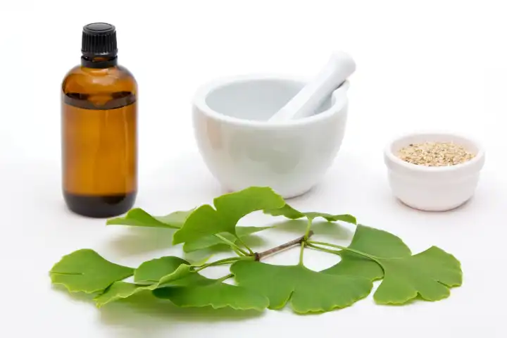 herbal medicine of ginkgo