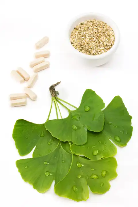 ginkgo leaves with medicine