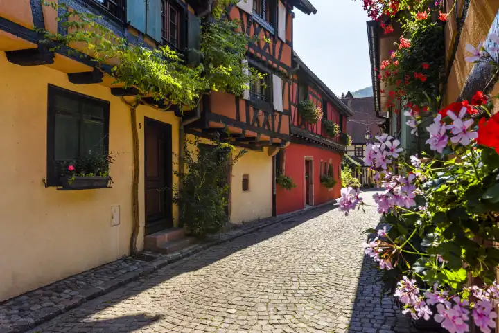 Bunte malerische Gasse in der Altstadt von Kaysersberg, Elsässer Weinstraße, Frankreich, Fachwerkhäuser mit Blumendekoration