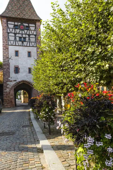Stadttor des Dorfes Bergheim, Elsässer Weinstraße, Frankreich, Uhrturm und Kopfsteinpflastergasse