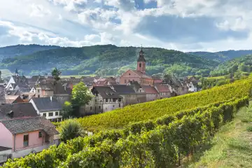panorama of the village Riquewihr and its town wall, Alsace, France, village and hills with vineyards seen from above