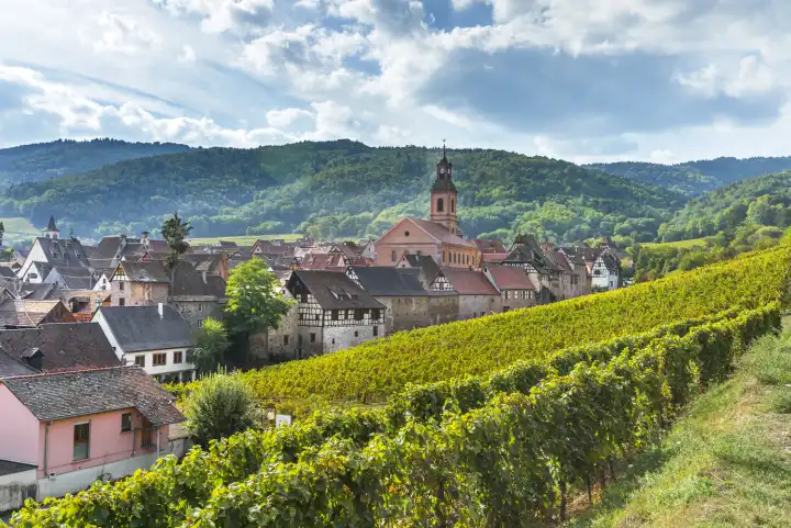 panorama of the village Riquewihr and its town wall, Alsace, France, village and hills with vineyards seen from above
