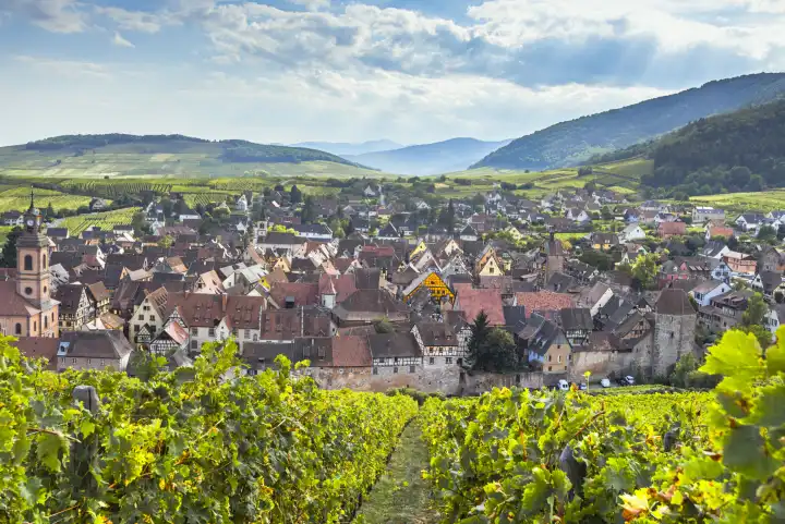 Panorama des Weindorfes Riquewihr und der Vogesen, Elsass, klassisches Ziel an der Weinstraße, Frankreich