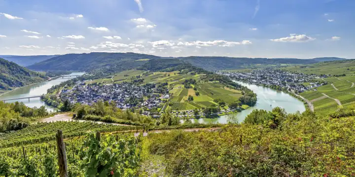 panorama of a bend of the Moselle river around village Wolf, Germany, view from mountain ridge near Mont Royal