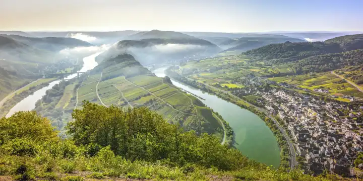 bend of the Moselle river near village Bremm, Germany, panorama view with clouds of morning fog above the river valley