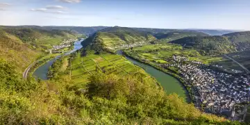 Moselschleife bei der Ortschaft Bremm, Deutschland, Panoramablick vom Berg Calmont