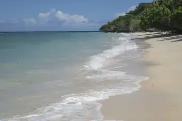 white sandy beach, tiny waves, blue sky and clouds, tropical vegetation. Selayar, South Sulawsi, Indonesia