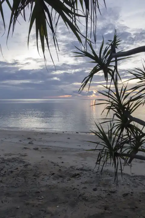 Abendstimmung am Sandstrand, klarer Himmel, Wolken, glattes Meer, tropische Vegetation, Selayar, Südsulawesi, Indonesien