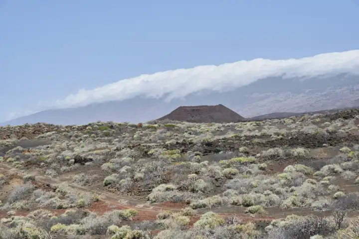 Blauer Himmel und Wolkenband über Gebirge und Vulkankegel, im Vordergrund karger, mit Pionierpflanzen bewachsener Vulkansand. El Hierro, Kanarische Inseln, Spanien, grün, beige, braun, weite