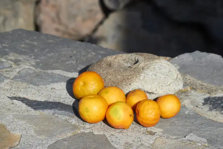Mandarinen auf besonnter Steinmauer. Tijarafe, La Palma, Kanarische Inseln, Spanien