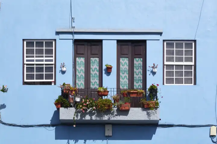 Teilansicht einer hellblauen Hausfassade mit begrüntem Balkon und 2 Fenstern. La Palma, Kanarische Inseln, Spanien
