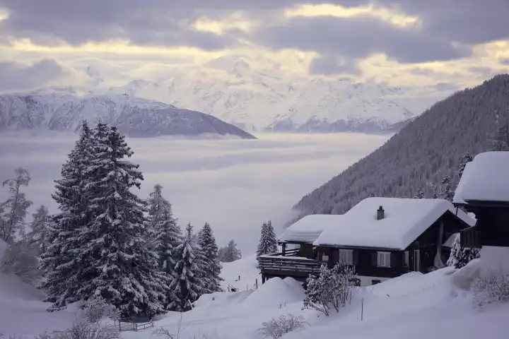 Blick über schneebedeckte Chalets und Fichten aufs Nebelmeer im Rhonetal und die Walliser Alpen. Wallis, Schweiz