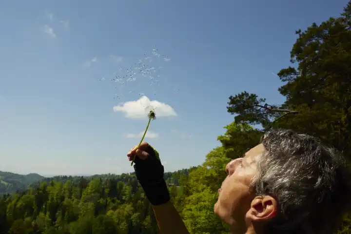 Sportliche Frau pustet die Samen einer Pusteblume gegen den blauen Himmel. Zürcher Oberland, Schweiz
