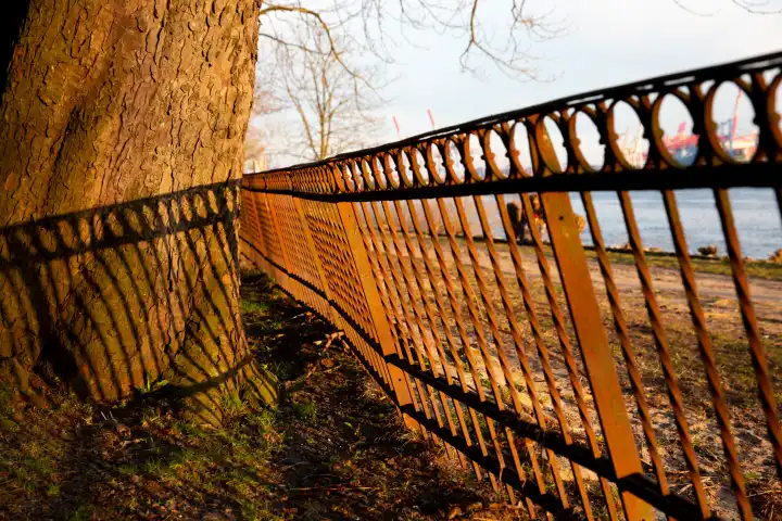 Old iron fence with shadows cast in the evening light on the Elbe