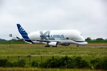 Airbus Beluga X3 , Transportflugzeug von Airbus