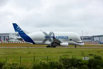 Airbus Beluga X3 , Transportflugzeug von Airbus