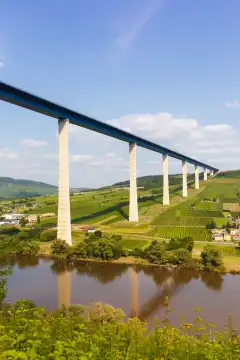 Zeltingen  Deutschland  23 Juli 2021: Hochmoselbrücke Brücke über Fluss Mosel Hochformat in Zeltingen  Deutschland