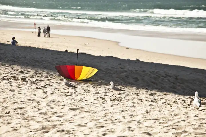 colourful umbrella on a beach