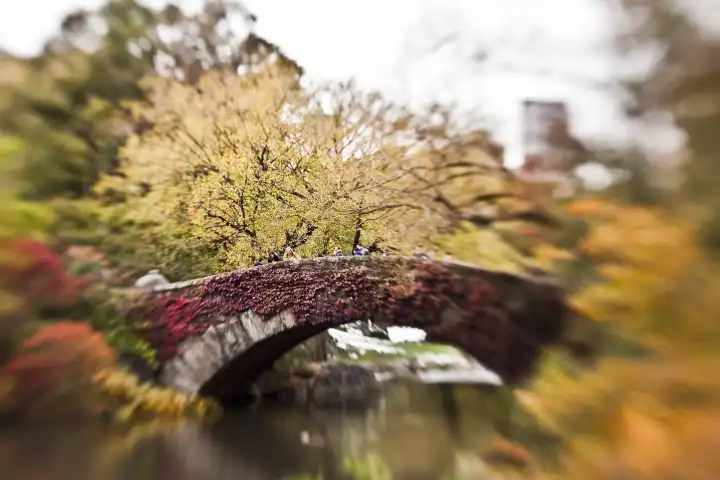 Bridge with autumn foliage in Central Park, New York