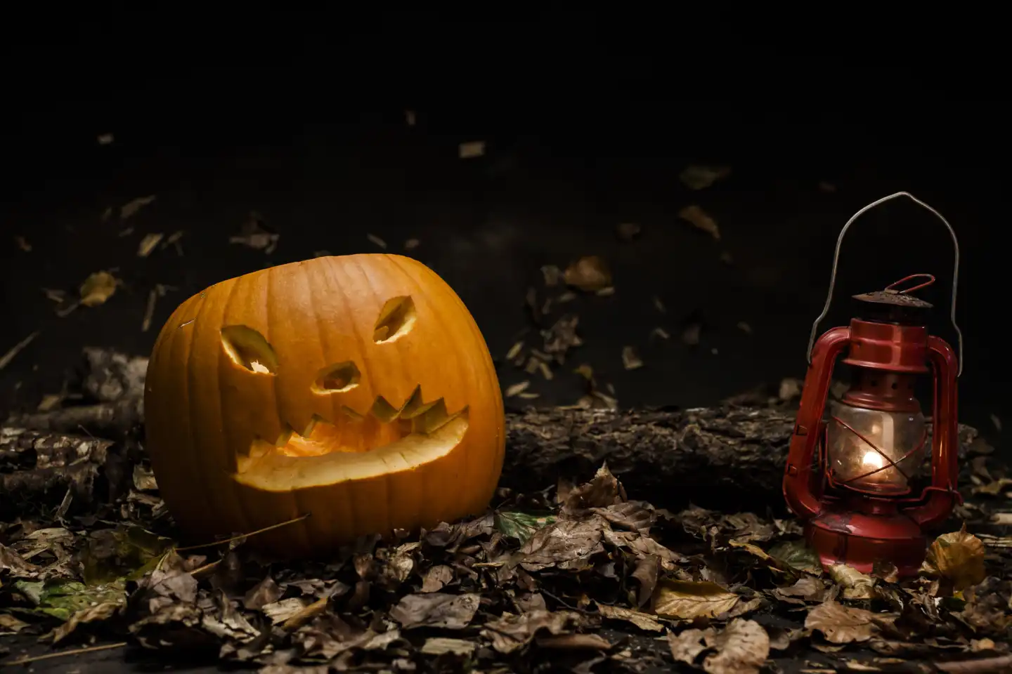 Halloween pumpkin with lantern on foliage, Studio shot