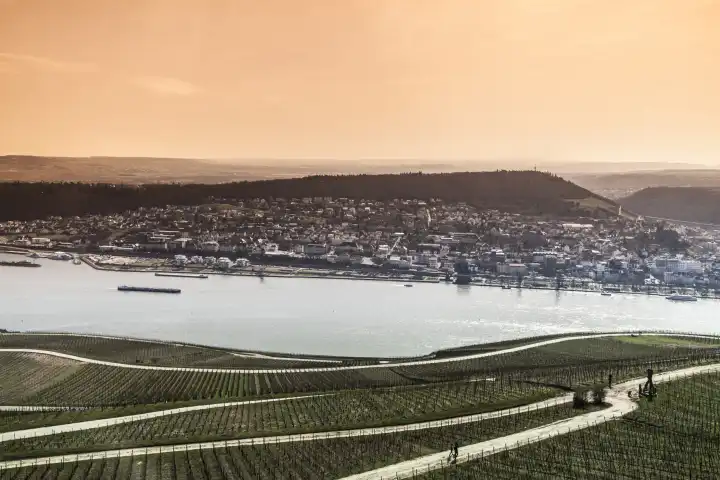 Blick auf Stadt Bingen am Rhein mit Rhein und Weinbergen im Vordergrund