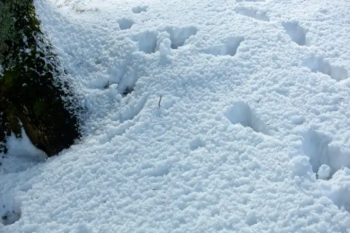 Hintergrundtextur für Neuschnee. Winterhintergrund mit Schneeflocken und Schneehügeln. Schneeklumpen. Fußabdrücke und Spuren.