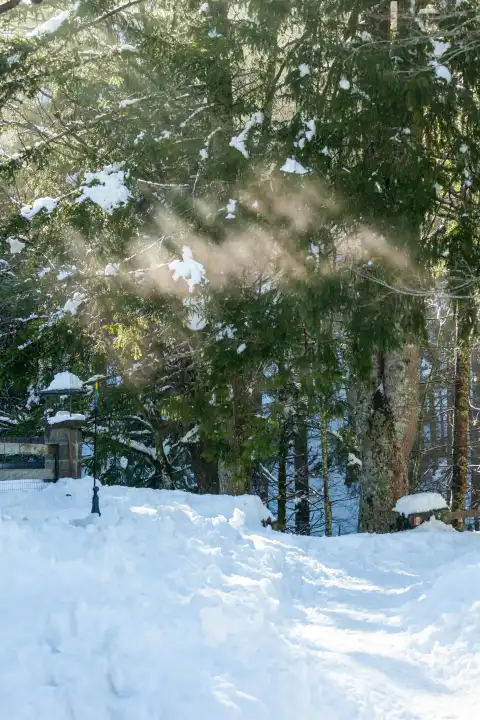 Schneebedeckter Bergweg mit schneebedeckten Bäumen