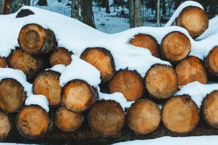 Holzstämme, die in den Bergen unter dem Schnee geschnitten und gestapelt wurden.