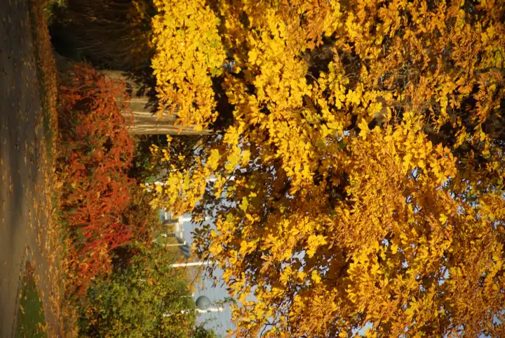 Herbststimmung in den Unteren Schlossgartenanlagen,Stuttgart