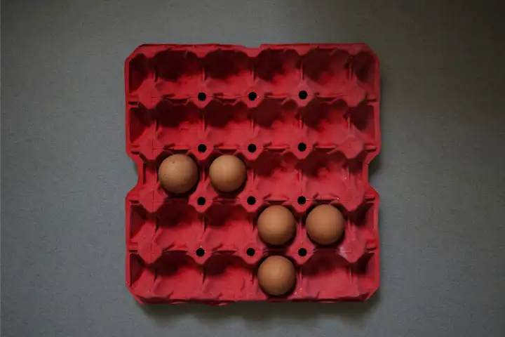 Eggs brown