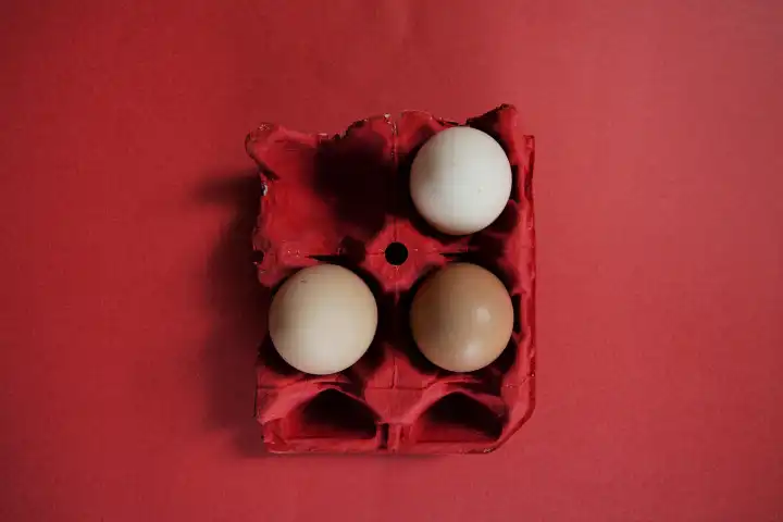 Eggs brown