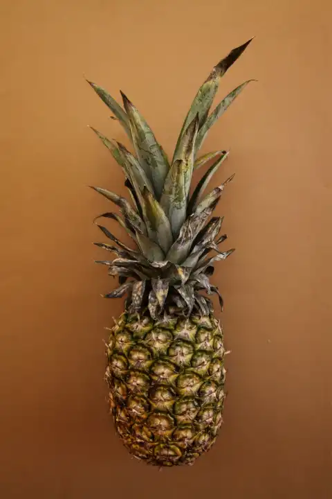 Pineapple with skin