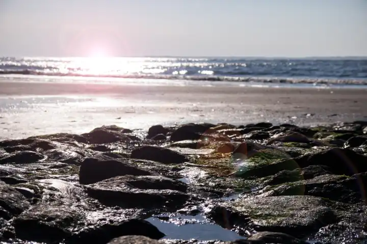 steine am strand mit sonnenlicht