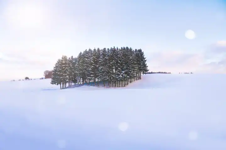 winterlandschaft mit blendenfleck
