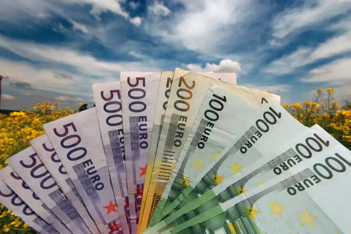 Fächer mit Euro Banknoten in den Stückelungen 500, 200 und 100 Euro vor blauem Himmel