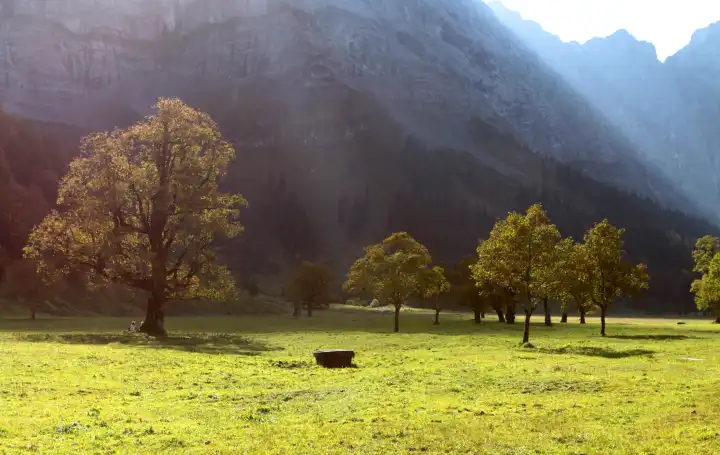 Large maple flooring in the Karwendel mountains in Austria