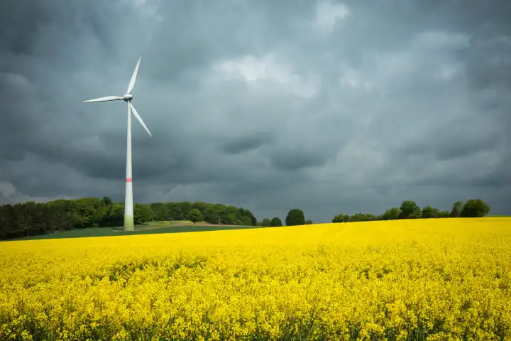 Wind turbine behind a field of rape with a moving sky
