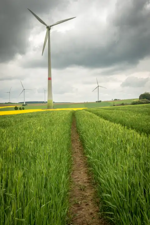 Windrad vor einem noch grünen Kornfeld mit Treckerspur und bewegtem Himmel