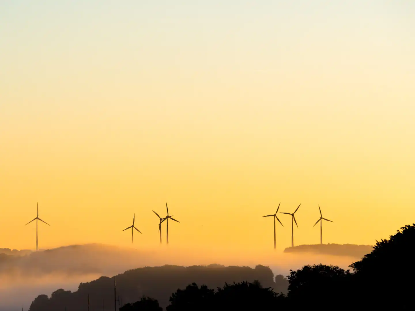 Wind turbines in the morning in fog at sunrise